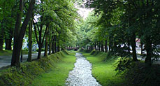 Izvor